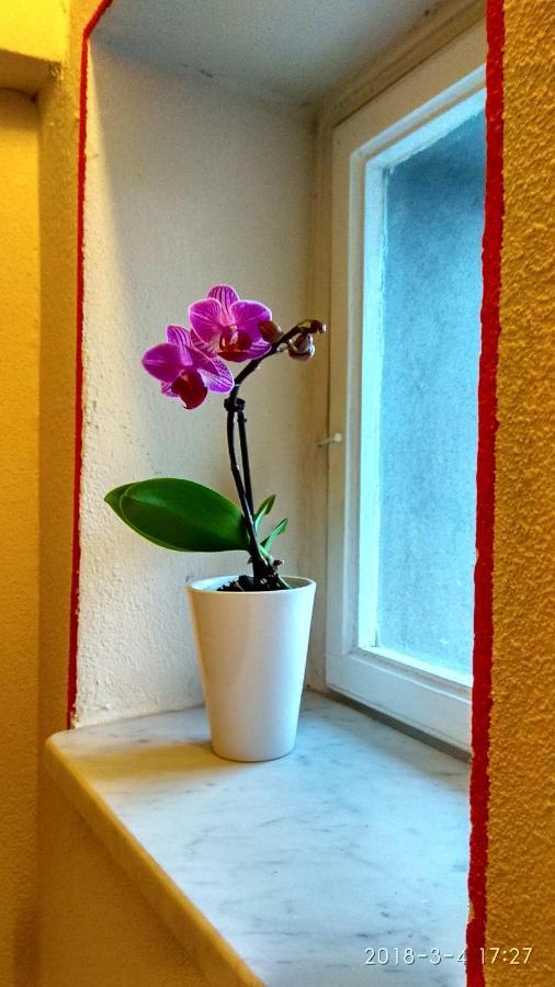 Le Rondini Di San Donato Bed & Breakfast Lucca Exterior photo