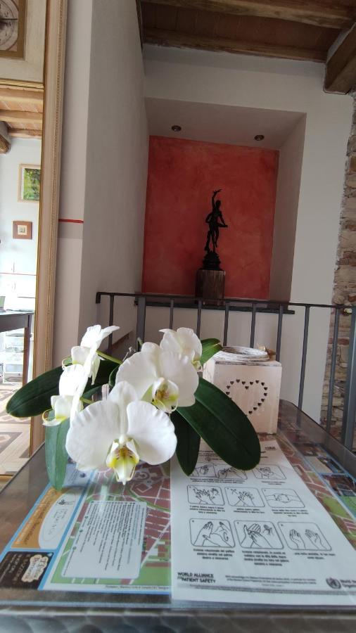 Le Rondini Di San Donato Bed & Breakfast Lucca Exterior photo